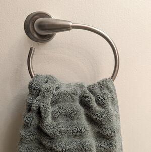 Brushed nickel towel ring